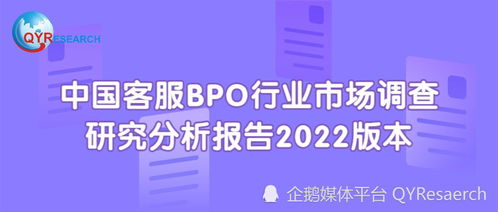 2022年中國客服BPO行業(yè)市場調(diào)查研究分析報(bào)告（簡版）