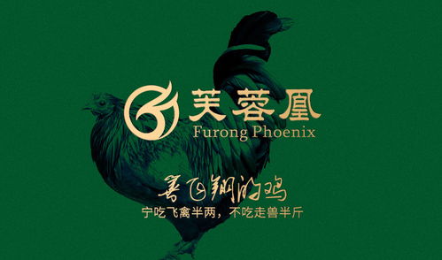 芙蓉凰雞攜手萬域廣告 打造深圳品牌設(shè)計(jì)的卓越典范